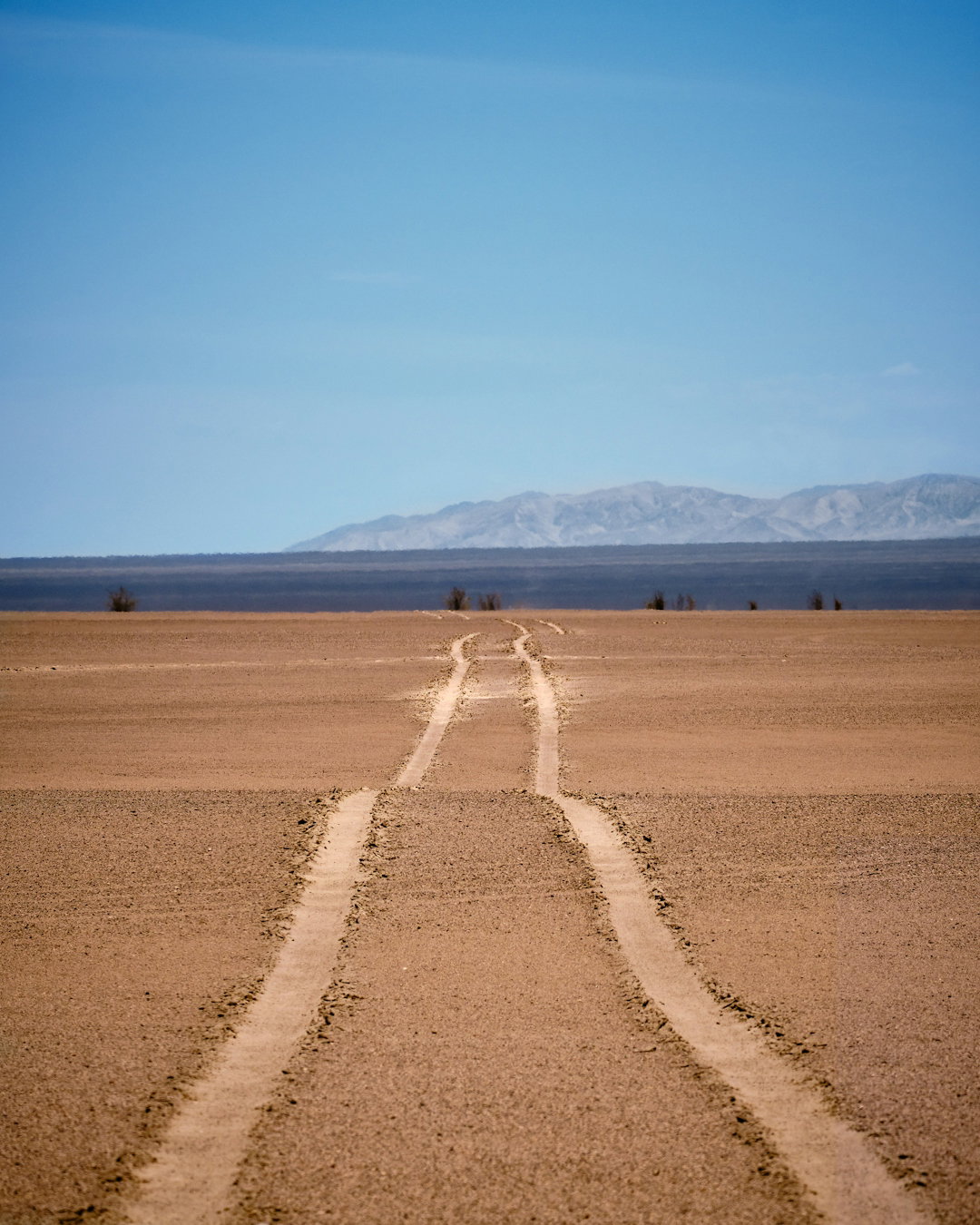 brown sand field under blue sky during daytime